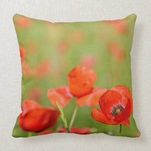 Coussin Pavots dans un carreau de champ de pavot