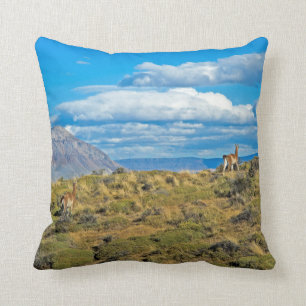 Coussin Pays de Guanaco, Patagonia