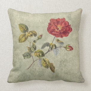 Coussin Pays élégant de rose vintage de Français rustique