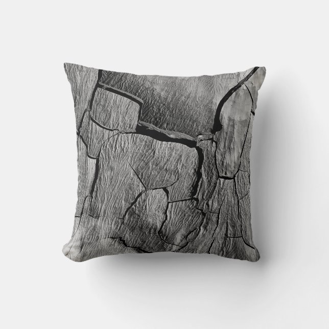Coussin Paysage fissuré de désert ultra-sec (Recto)