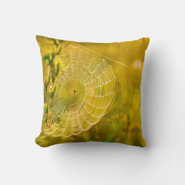 Coussin Paysage naturel Spiderweb Spiderweb Soleil (Recto)