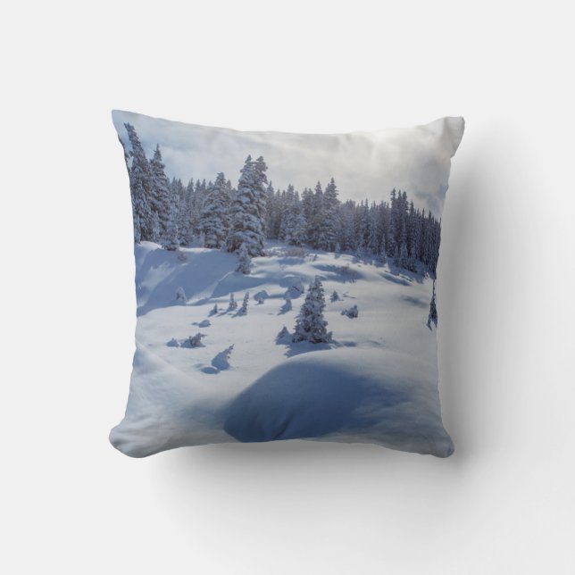 Coussin Paysage neigeux (Recto)