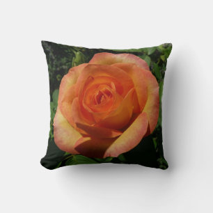 Coussin Peach Rose Orange Floral Photographie