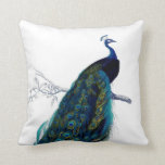 Coussin Peacock couleur bleu vintage<br><div class="desc">Un paon vintage bleu vert et jaune couleur royale.Une image de style vintage sur arrière - plan blanc.L'idée cadeau parfait pour l'amoureux des animaux ou n'importe qui en toute occasion.</div>