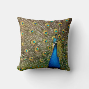 Coussin Peacock Motif Peacock Artisanat Peacock Peinture A