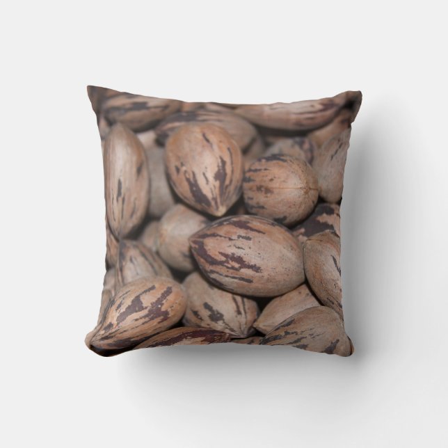 Coussin Pecan (Recto)
