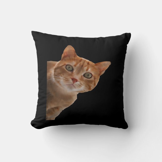 Coussin Peekaboo- Peinture (Recto)