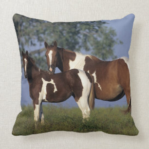 Coussin Peignez la jument et le poulain
