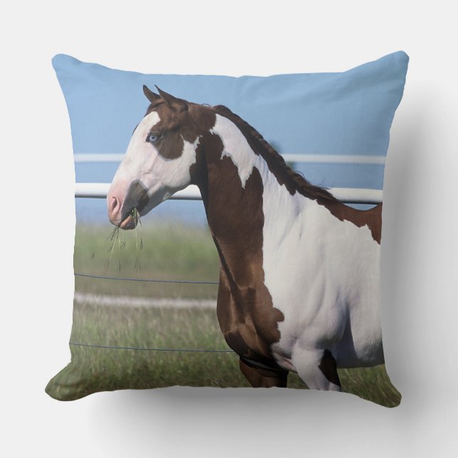 Coussin Peignez la position de cheval (Recto)