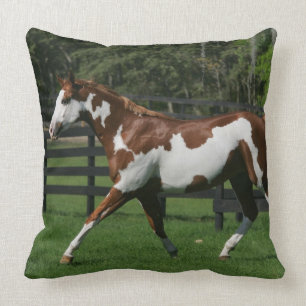 Coussin Peignez le cheval courant 1