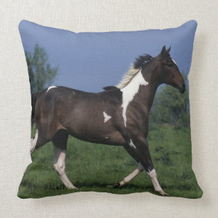 Coussin Peignez le cheval courant 2