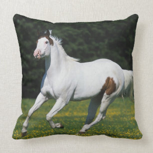 Coussin Peignez le cheval fonctionnant dans le domaine