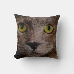 Coussin Peinture à l'huile de chaton écossaise verte