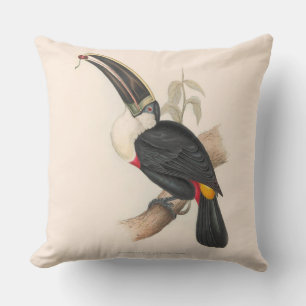 Coussin Peinture animalière d'antiquités Toucans