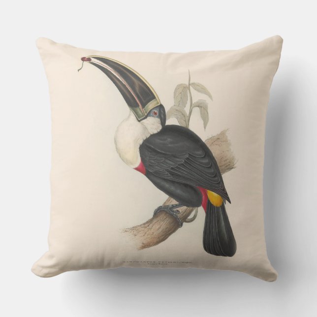 Coussin Peinture animalière d'antiquités Toucans (Recto)
