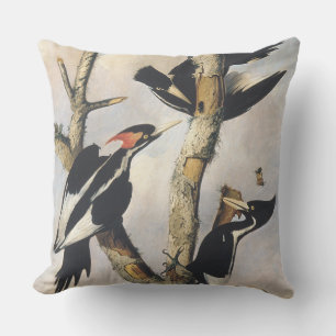 Coussin Peinture Audubon de Pic à bec ivoire