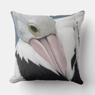 Coussin Pélican australien en gros plan