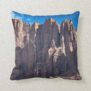 Coussin Penintentes