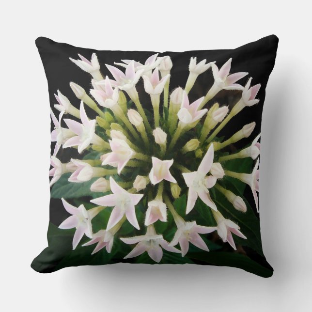 Coussin Pentas blancs (Recto)