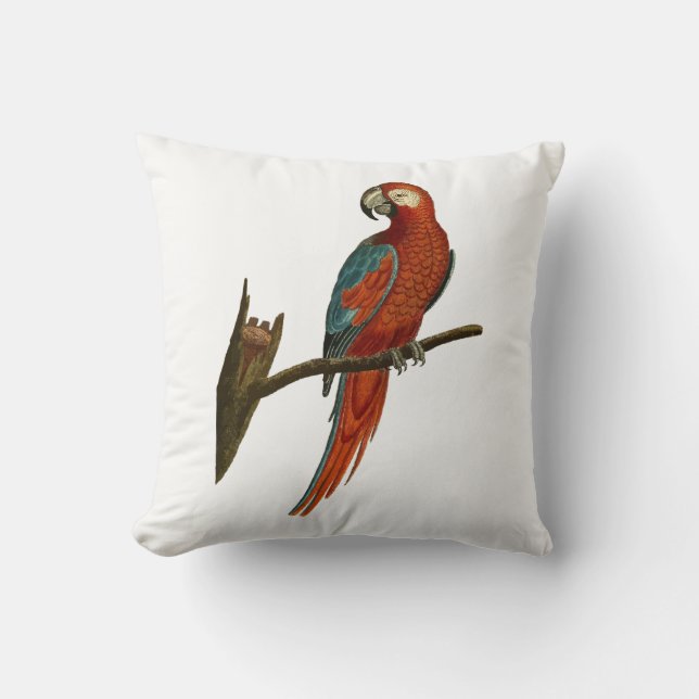 Coussin Perroquet (Recto)