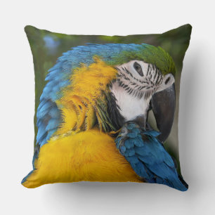 Coussin Perroquet Bleu Et Or