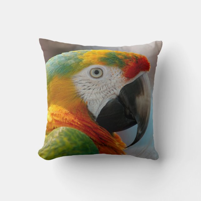 Coussin Perroquet de Macaw Tropical (Recto)