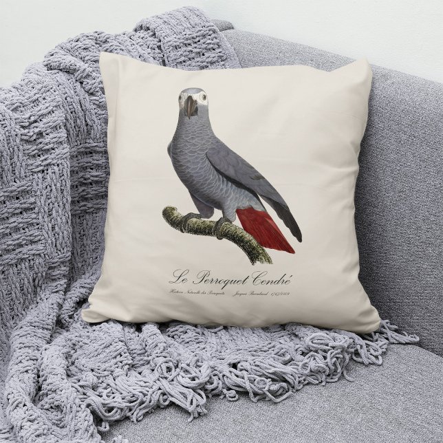 Coussin Perroquet gris, Psittacus erithacus, vintage (Le Perroquet Cendre - 19th century illustration. Throw Pillow)