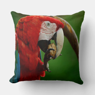 Coussin Perroquet rouge tropical