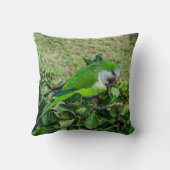 Coussin Perroquet vert (Verso)