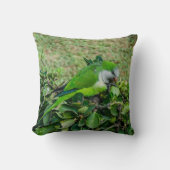 Coussin Perroquet vert (Recto)