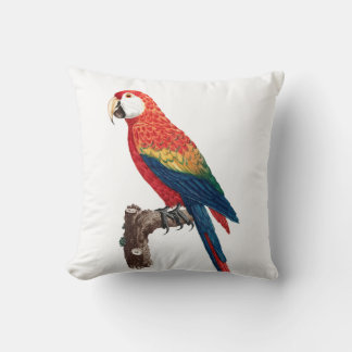 Coussin Perroquet vintage - Oiseaux Vieux art illustratif