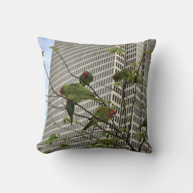 Coussin Perroquets sauvages de San Francisco (Recto)
