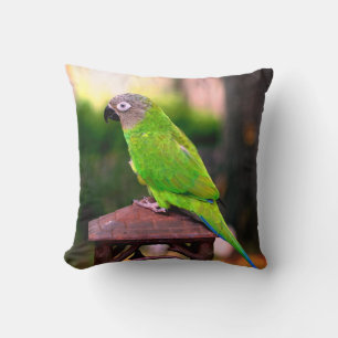 Coussin Perrot de purée à tête cendrée