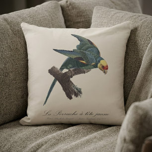 Coussin Perruche a Tete Jaune / Conure de Caroline