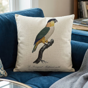 Coussin Perruche à tête noire mâle, Pionites melanocephalu