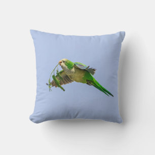 Coussin Perruche de moine dans la vallée du Rio Grande