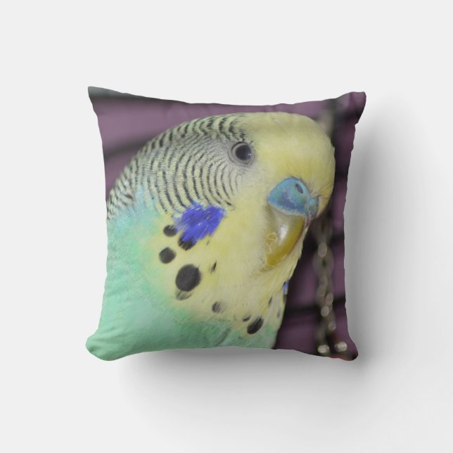 Coussin Perruche masculine de Budgie/ (Recto)