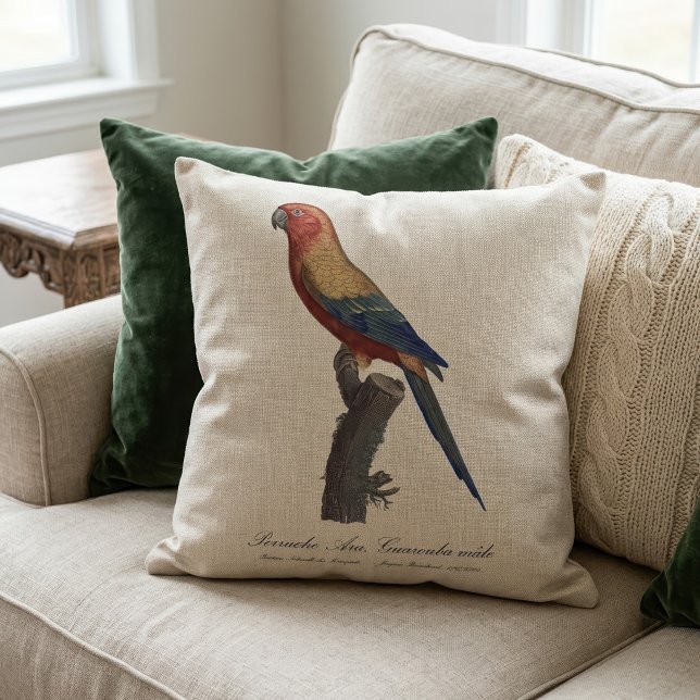 Coussin Perruche soleil mâle, Aratinga solstitialis (Sun Parakeet Male, Aratinga Solstitialis. Throw Pillow)