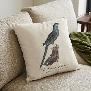 Coussin Perruche terrestre ou Perruche des marais, Pezopor