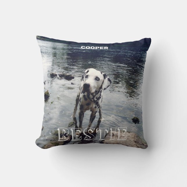 Coussin Personnalisé Coute Amis Animaux De Compagnie Photo (Recto)