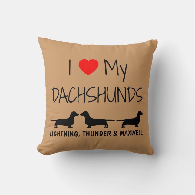 Coussin Personnalisé J'Aime Mes Trois Dachshunds (Recto)