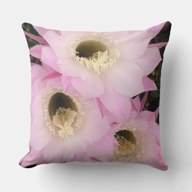 Coussin pétales roses du désert  (Recto)