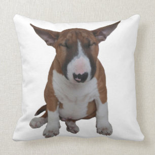 Coussin Petit carreau somnolent de bull-terrier