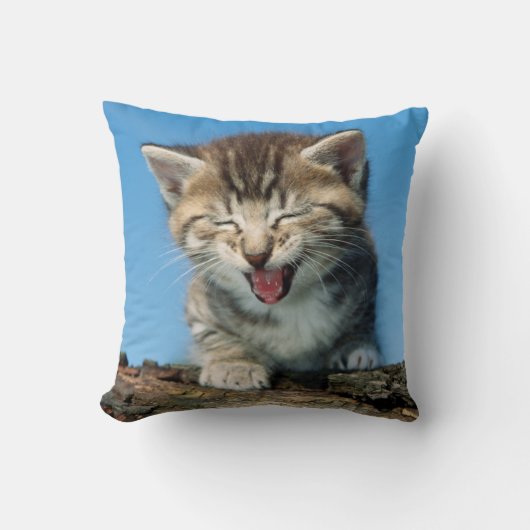 Coussin Petit chaton dans un arbre (Recto)