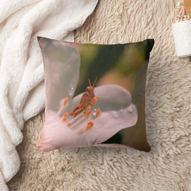 Coussin Petit Grasshopper Sur Fleur Azalée Blanche (Couverture)