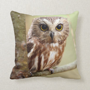 Coussin Petit hibou de bébé Ontarios
