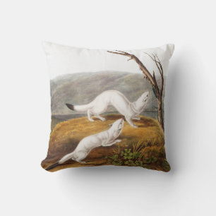 Coussin Petit Nimble Weasel Putorius agilis Illustration