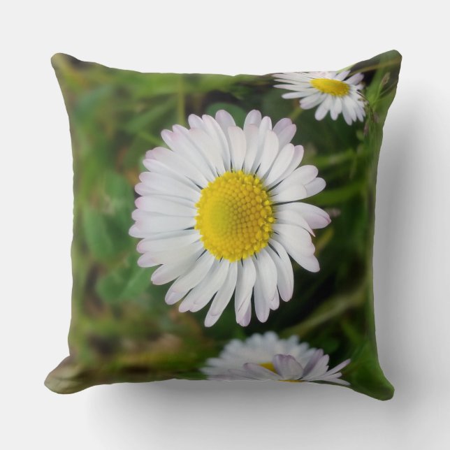 Coussin Petites marguerites (Recto)