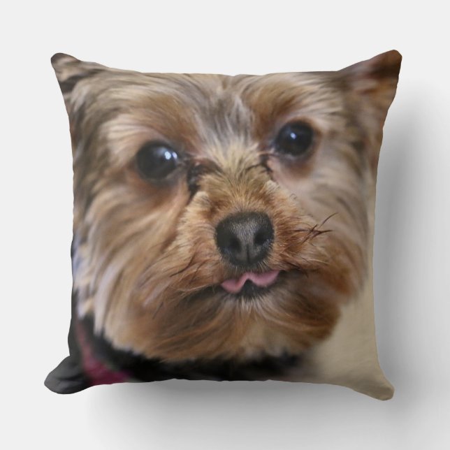 Coussin Pfft ! (Recto)