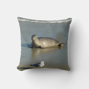 Coussin Phoque commun à La Jolla Californie